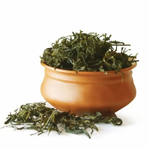 Wayanady green tea leaves